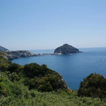 Myremi * Forio (Isola d'Ischia)